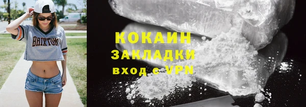 тгк Алексин