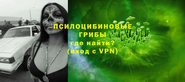 тгк Алексин
