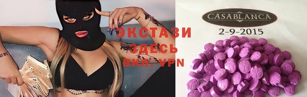 тгк Алексин