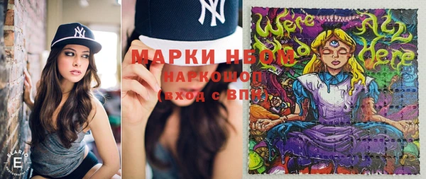 ГАЛЛЮЦИНОГЕННЫЕ ГРИБЫ Алзамай