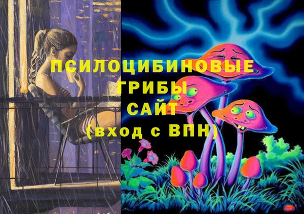 ГАЛЛЮЦИНОГЕННЫЕ ГРИБЫ Алзамай