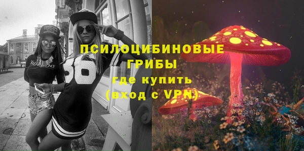 тгк Алексин