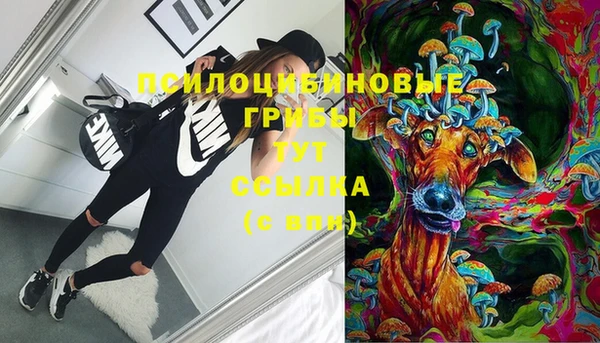 тгк Алексин