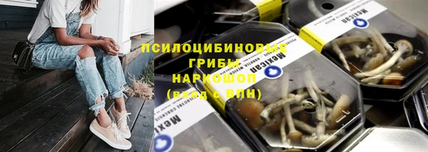 ГАЛЛЮЦИНОГЕННЫЕ ГРИБЫ Алзамай