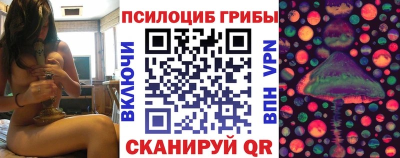 Псилоцибиновые грибы MAGIC MUSHROOMS  МЕГА ONION  Новая Ладога 